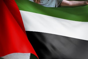 Person holding United Arab Emirates, | Free Photo - rawpixel