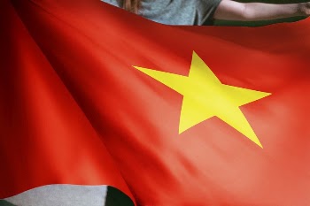 Person holding Vietnamese flag background, | Free Photo - rawpixel