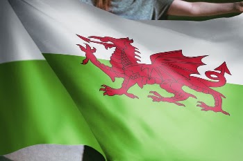 Person holding Welsh flag background, | Free Photo - rawpixel