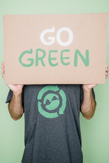 Person Holding White and Green Box