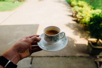 Person Holding White Ceramic Teacup