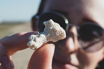 Person Holding White Coral