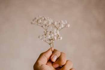 Person Holding White Encrusted Flowers