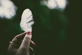 Person Holding White Feather in Selective Focus Photography
