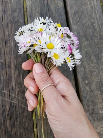 Person Holding White Flowers