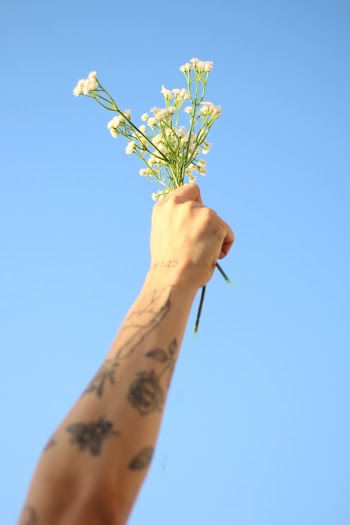 Person Holding White Flowers