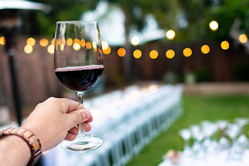 Person Holding Wine Glass
