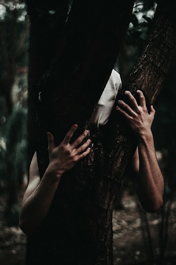 Person Hugging Tree