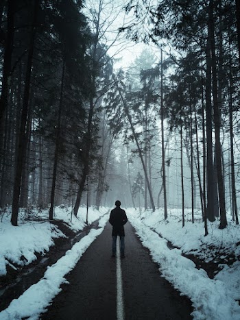 Person in Black Jacket Walking on Snow Covered Pathway Between Trees