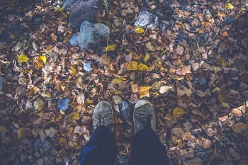 Person in Black Pants and Gray Low Top Shoes Stand on Dried Leaves and Rocks during Daytime