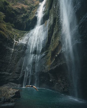 Person in Black Short Diving in Water