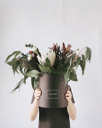 Person in Black T-shirt Holding Potted Flowers