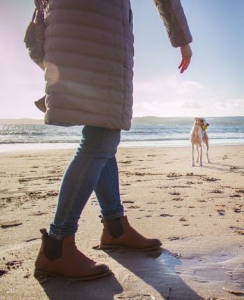 Person in Bubble Coat Walking on Beach Near Dog at Daytime
