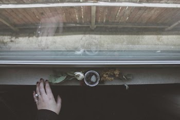 person in front of flowers and window during daytime