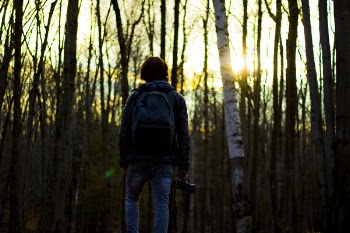 Person in Gray Jacket Wearing Backpack in Forest