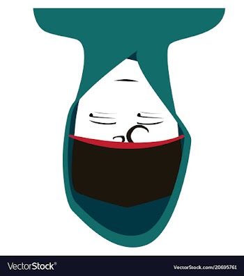 Person in hoodie in hoodie upside down vector image