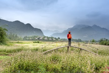 Person in Red Shirt Standing on Foot Bridge