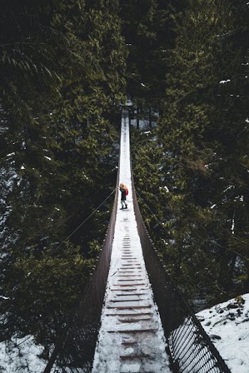 person in the middle of hanging bridge