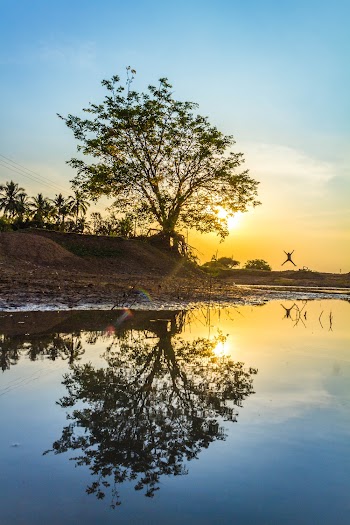 Person Jumping in Green Field Viewing Lake and Trees during Sunrise