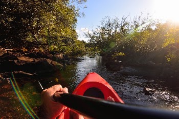 Person kayaking, adventure travel concept. | Free Photo - rawpixel