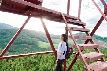 Person Leaning Against on Railing