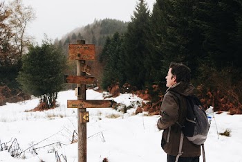 Person Looking At Directions