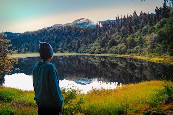 person looking at lake