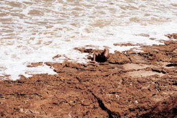 Person Lying Down on Rocky Shore