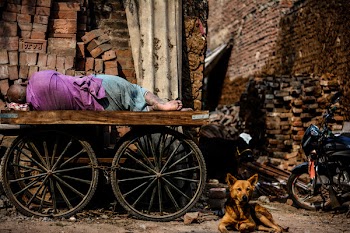 Person Lying on Cart
