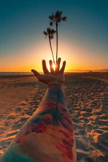 person next to coconut tree on sand
