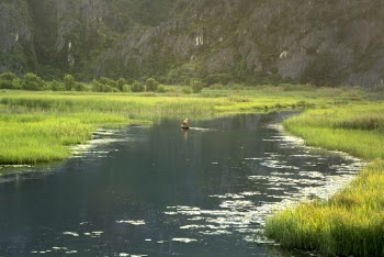 Person On A Boat In Body Of Water Near Grasses