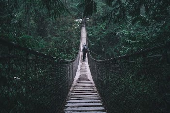 person on brown hanging bridge