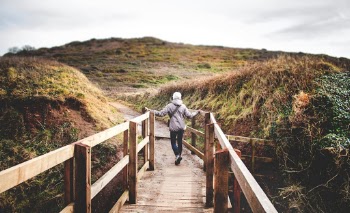 Person On Brown Wooden Bridge