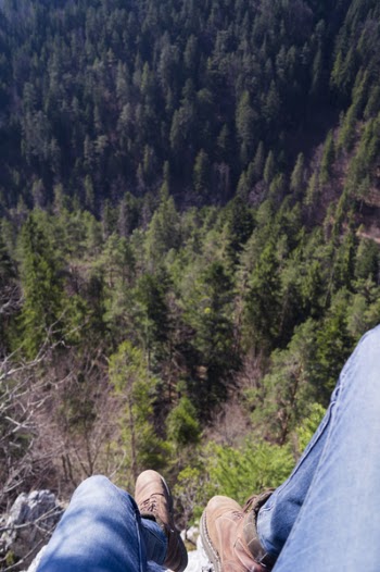 Person on High Ground With Tall Trees Below