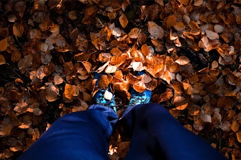 Person on Orange Leaves Surface