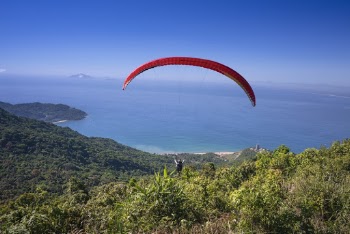 Person Paragliding Above Forest