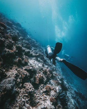 person performing scuba diving