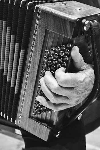 Person Playing Instrument