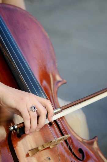Person playing violin image, free | Free Photo - rawpixel