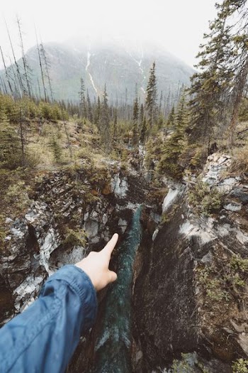 person pointing river surrounded by pine trees