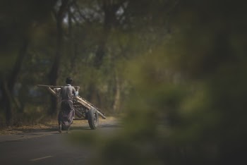 Person Pushing Brown Cart