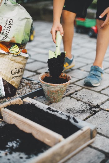 Person Putting Soil On Plant Pot