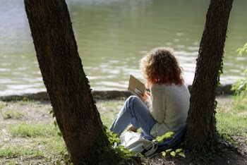 Person Reading A Book