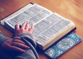 person reading a book with hands on top of book