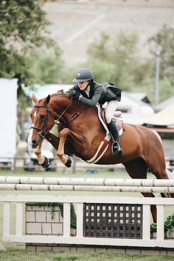 Person Riding A Horse 