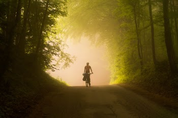 Person Riding Bicycle