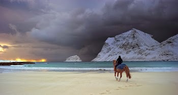 Person Riding Brown Horse