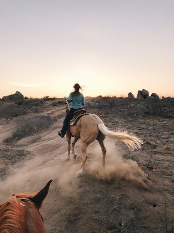 Person Riding Brown Horse