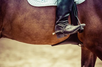 Person Riding Brown Horse Put His Feet on Horse Saddle
