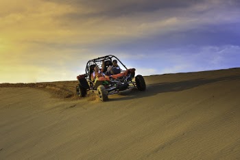 Person Riding Dune Buggy on Desert